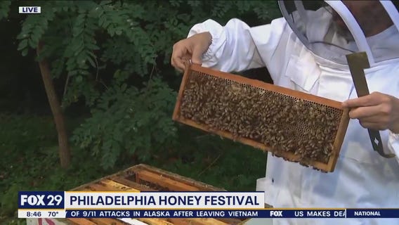 Honey Festival buzzing into Philadelphia this weekend