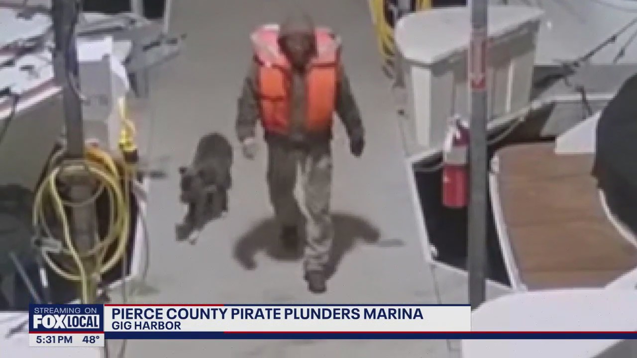 Pierce County pirate plunders marina