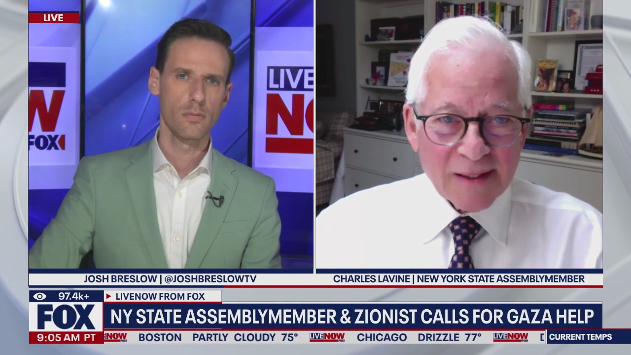 Zionist lawmaker for NY state calls for aid to Gaza