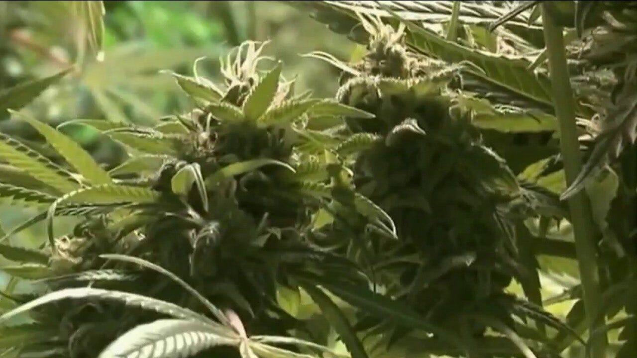 AZDHS announces marijuana product recall