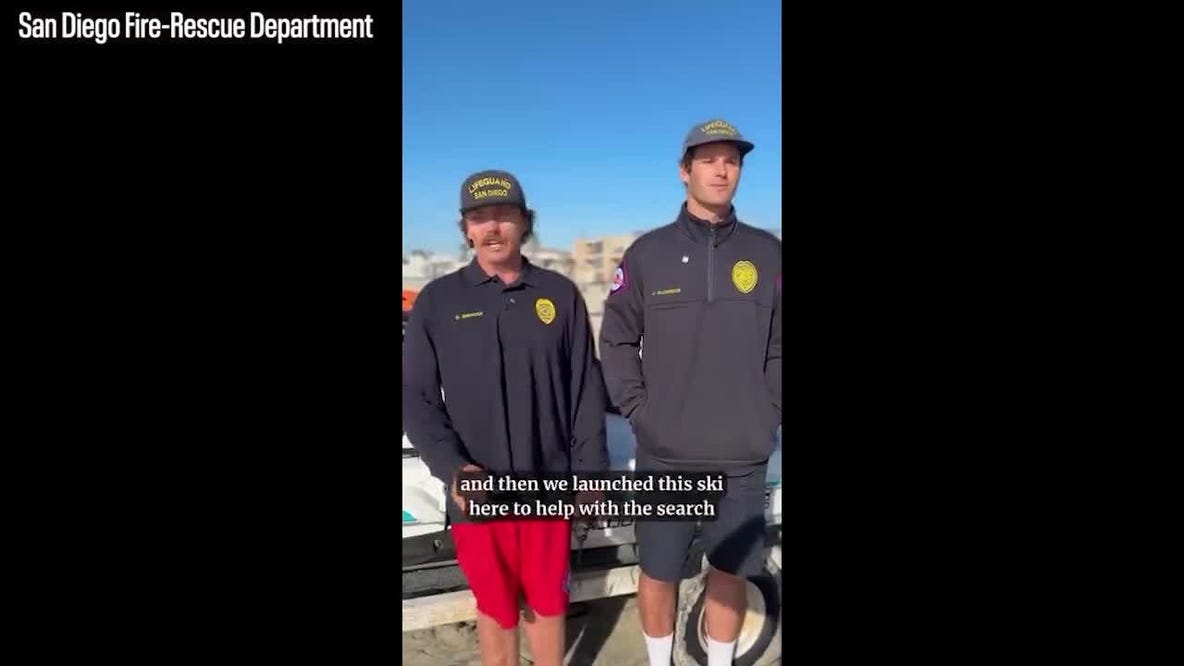 'A miracle happened': Lifeguards rescue runaway dog swept out to sea in rip current