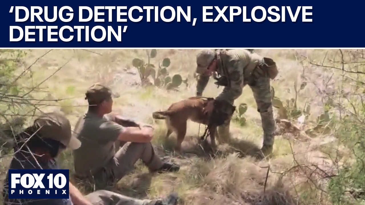 K-9 units deployed along U.S.-Mexico border