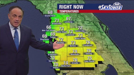 Tampa weather | Mild temperatures and light wind