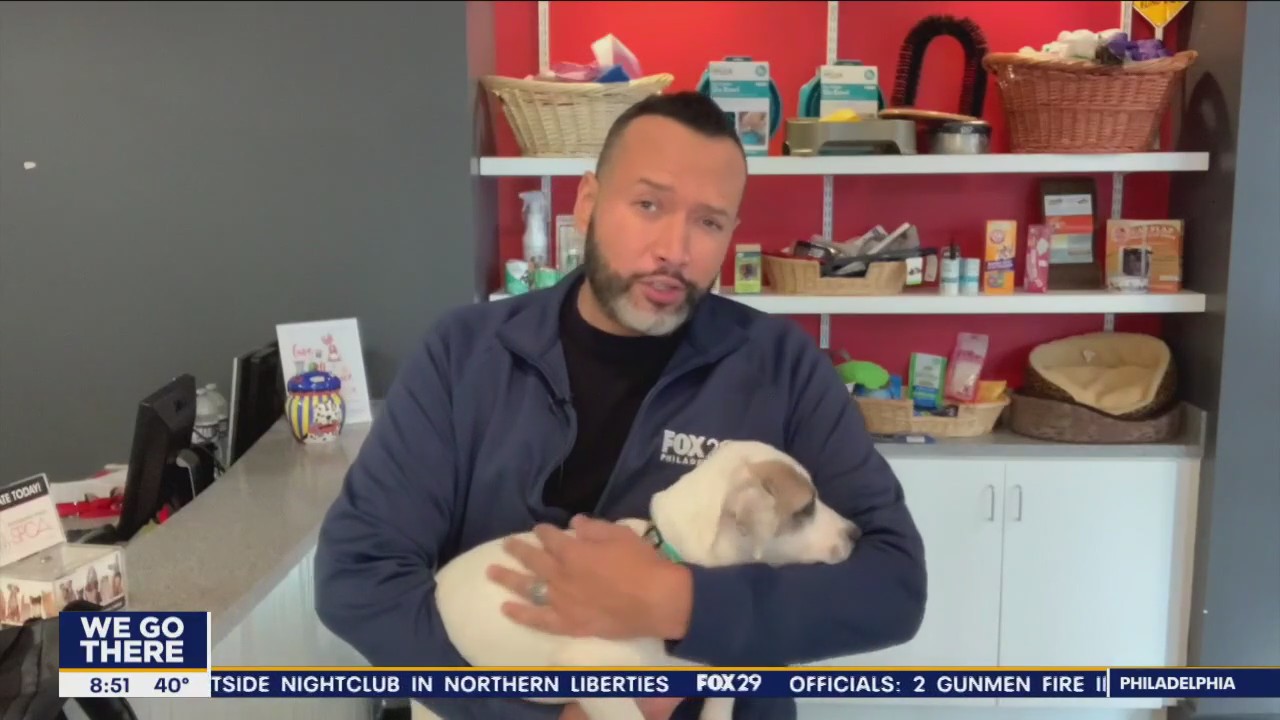 FurEver Home: October 30, 2022