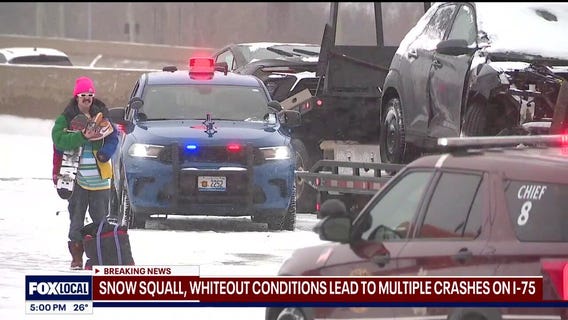 I-75 crash: Nearly 50 vehicles in accident scene caused by snow squalls