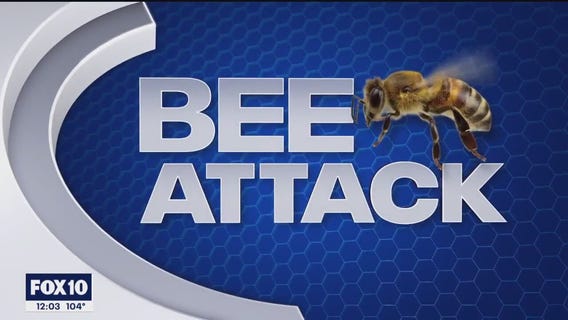 3 people attacked by bees in Scottsdale