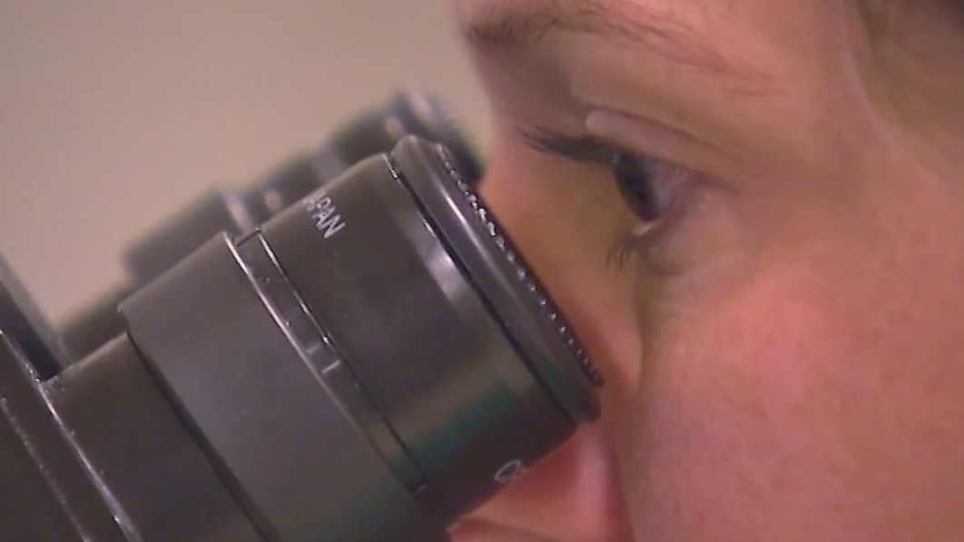 Researchers look into connection between 