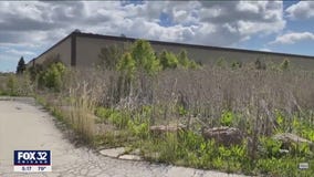 Leader tapped in cleanup efforts for Tinley Park Mental Health Center