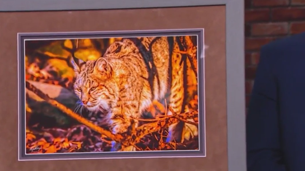 Kensington Art Fair returns May 27-29