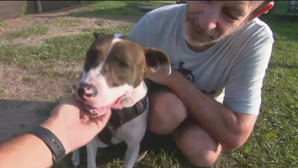 This popular rescue saves 1,000+ pups a year | FOX 35 Orlando