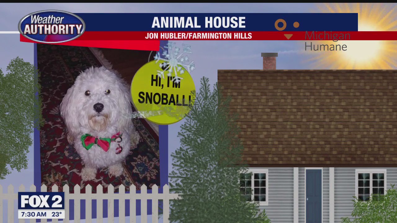 Welcome Snoball, Jesse, Duke, Seven