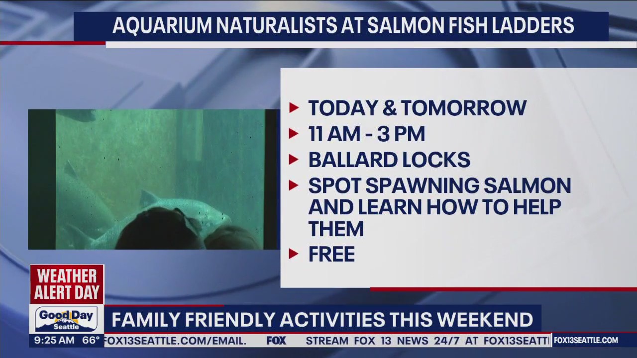 Family friendly activities this weekend