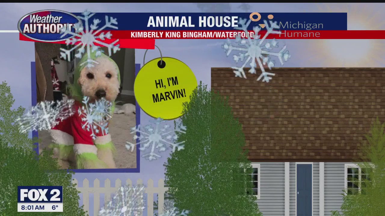 Welcome Marvin, Lucy, Brady