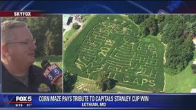 Maryland farm is ALL CAPS with their corn maz