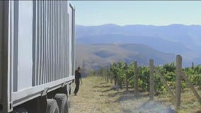 Celebrating the Armenian Spirit: Part V