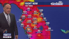 Tampa Weather | Dog days of summer