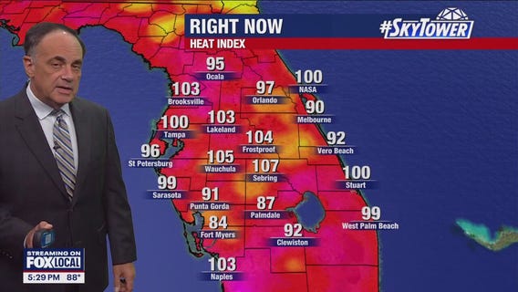 Tampa Weather | Dog days of summer