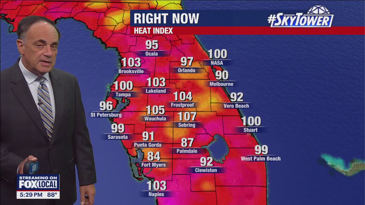 Tampa Weather | Dog days of summer