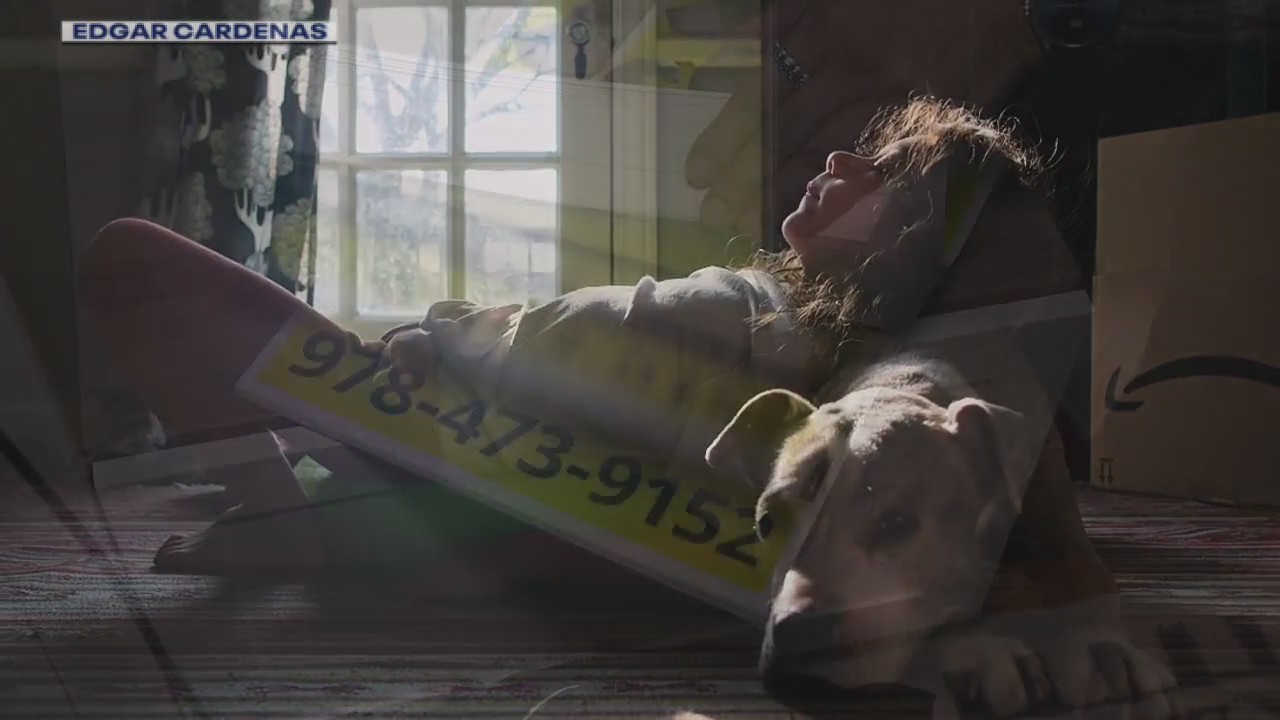 Emotional support dog found safe with help of FOX 2 viewer