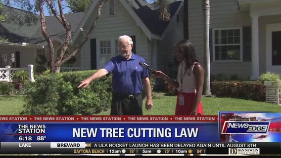 New tree cutting law in place