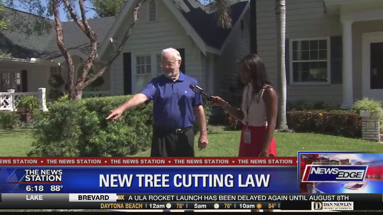 New tree cutting law in place