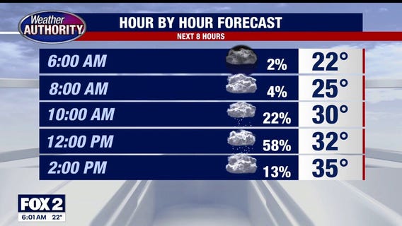 Mild Christmas week in Metro Detroit