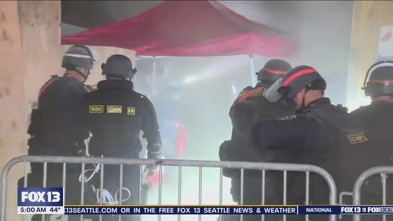 Police, pro-Palestinian protesters clash on UCLA campus