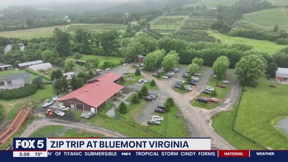 Exploring Bluemont, VA: FOX 5 Zip Trip 2023