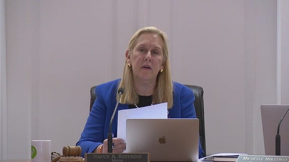 Highland Park approves state and federal assault weapons ban resolution