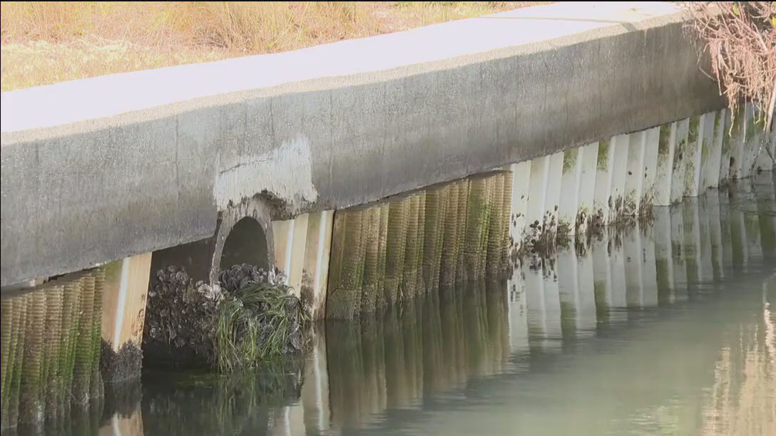 Living seawall created healthy habitat