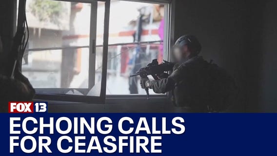 VP Harris echoes calls for ceasefire in Gaza