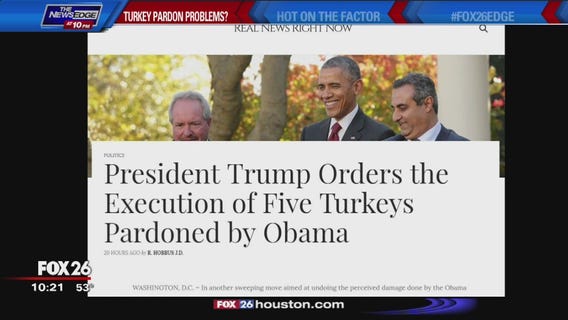Was That Fake? - turkey pardons overturned