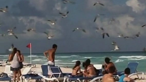 FOX Business Report - 8/14