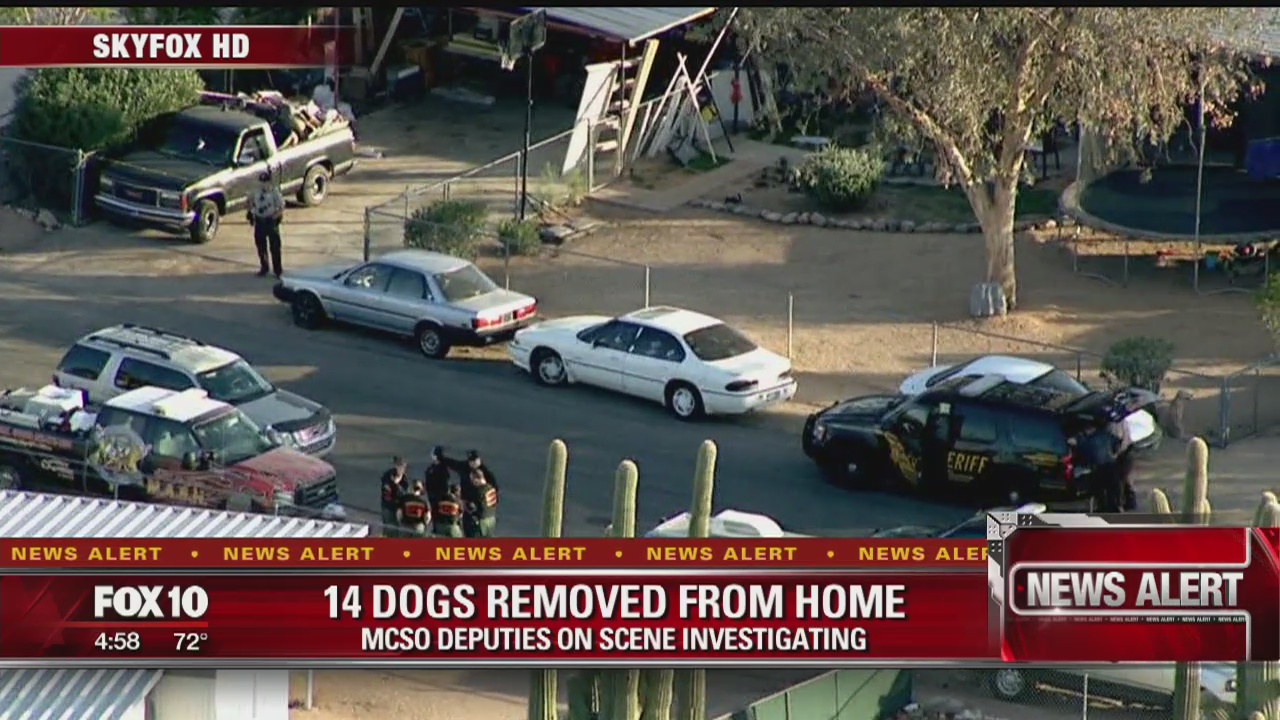 MCSO detectives remove 14 dogs from home | FOX 10 Phoenix