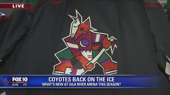 Cory's Corner: Arizona Coyotes Back on Ice