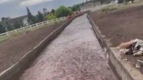 Heavy rain floods parts of Flagstaff