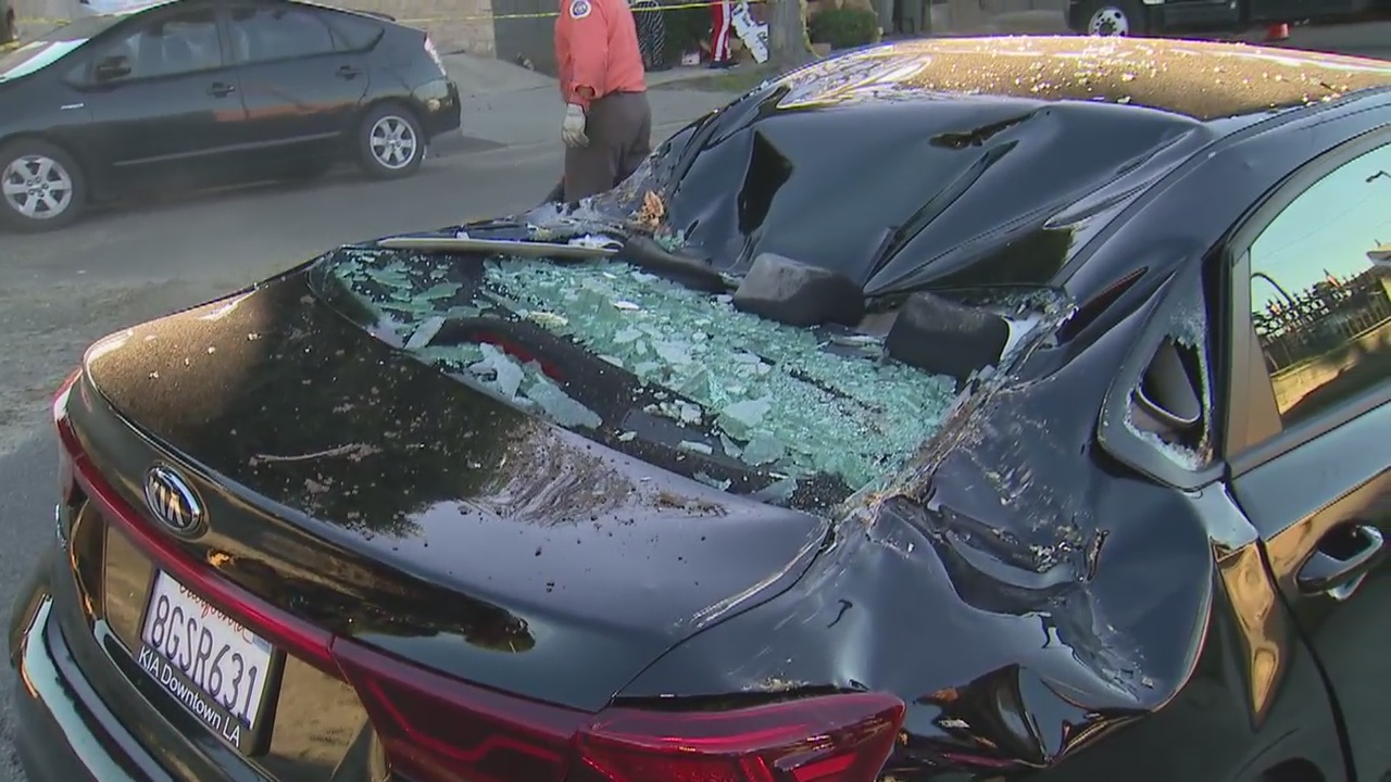 Tree topples over in Inglewood