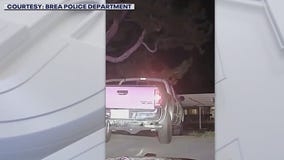 Brea PD issues DUI warning