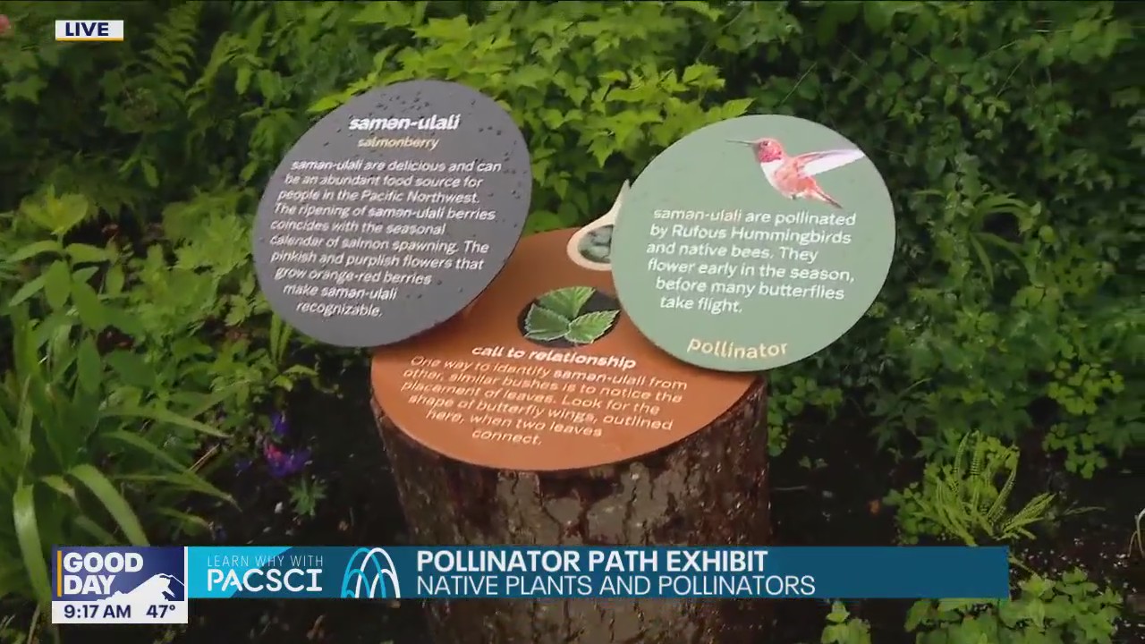 PacSci's new Pollinator Path exhibit