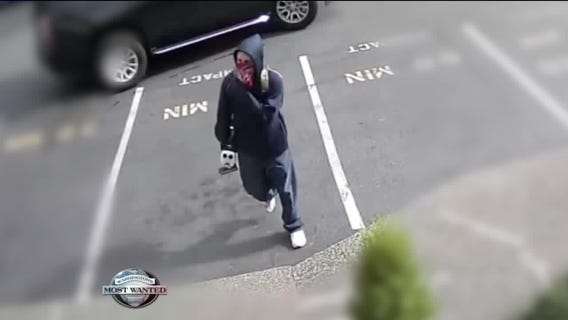 WANTED: Microscope-stealing looting suspect