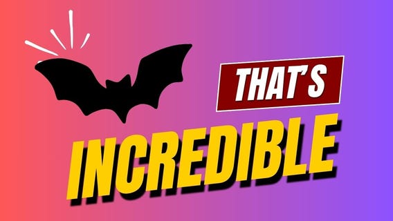 That?s Incredible: Bats, Bills & Sewage from the Ceiling