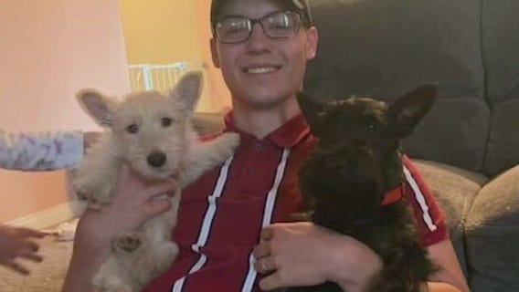 3 dogs believed to be stolen from Phoenix backyard