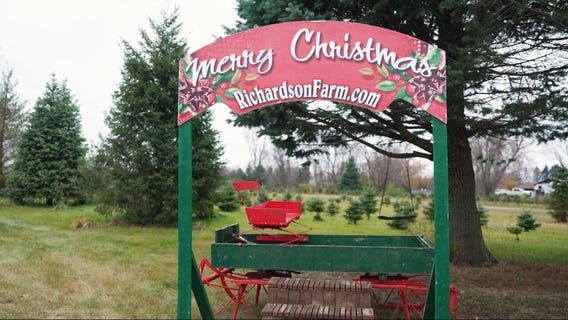 What Makes a Perfect Christmas Tree? Inside Richardson Christmas Tree Farm