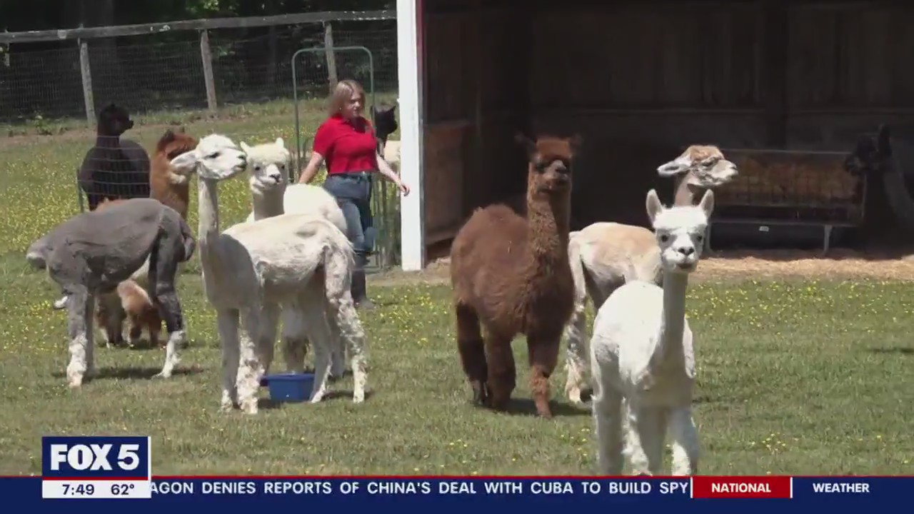 5 things to do in Upper Marlboro