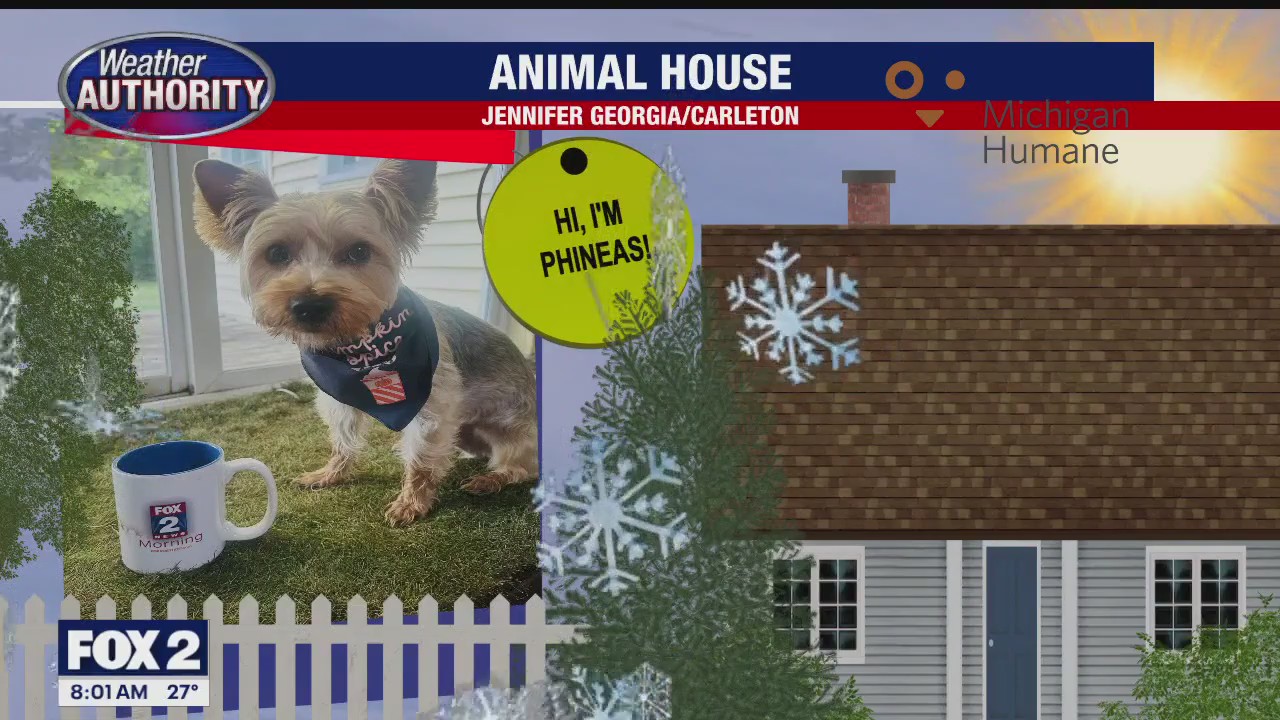 Welcome Phineas, Otto, Ted