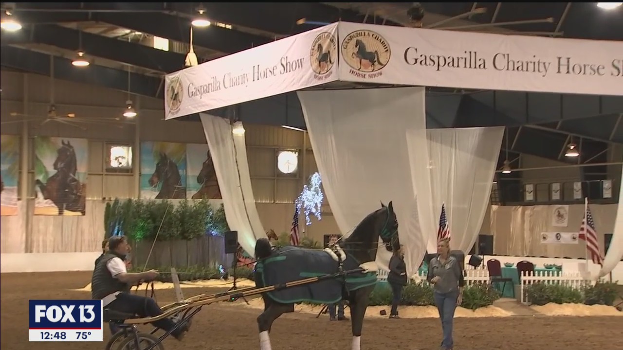 Gasparilla Charity Horse Show free for all who want to see beautiful horses