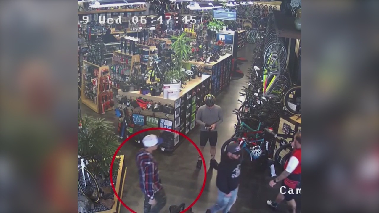 Thieves steal $10K bike, run over store employee during escape