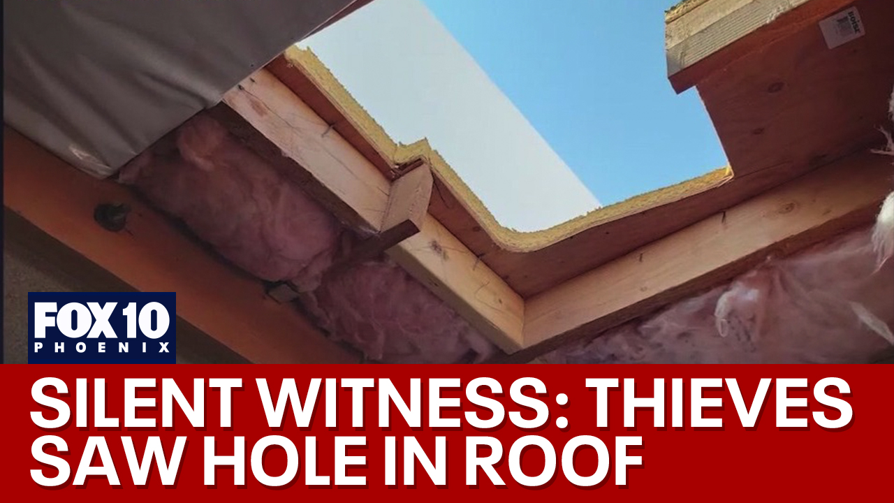 Silent Witness Saturday: Thieves saw a hole in roof