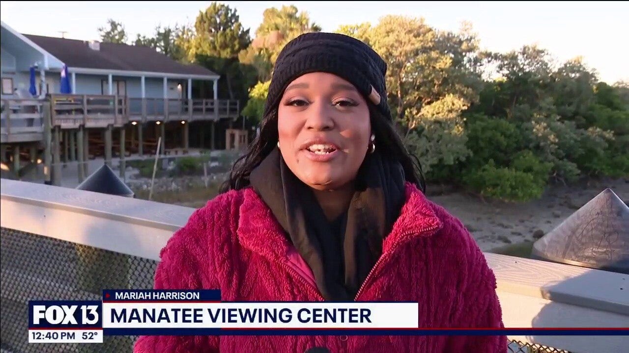TECO Manatee Viewing Center is a popular venue on a cold morning
