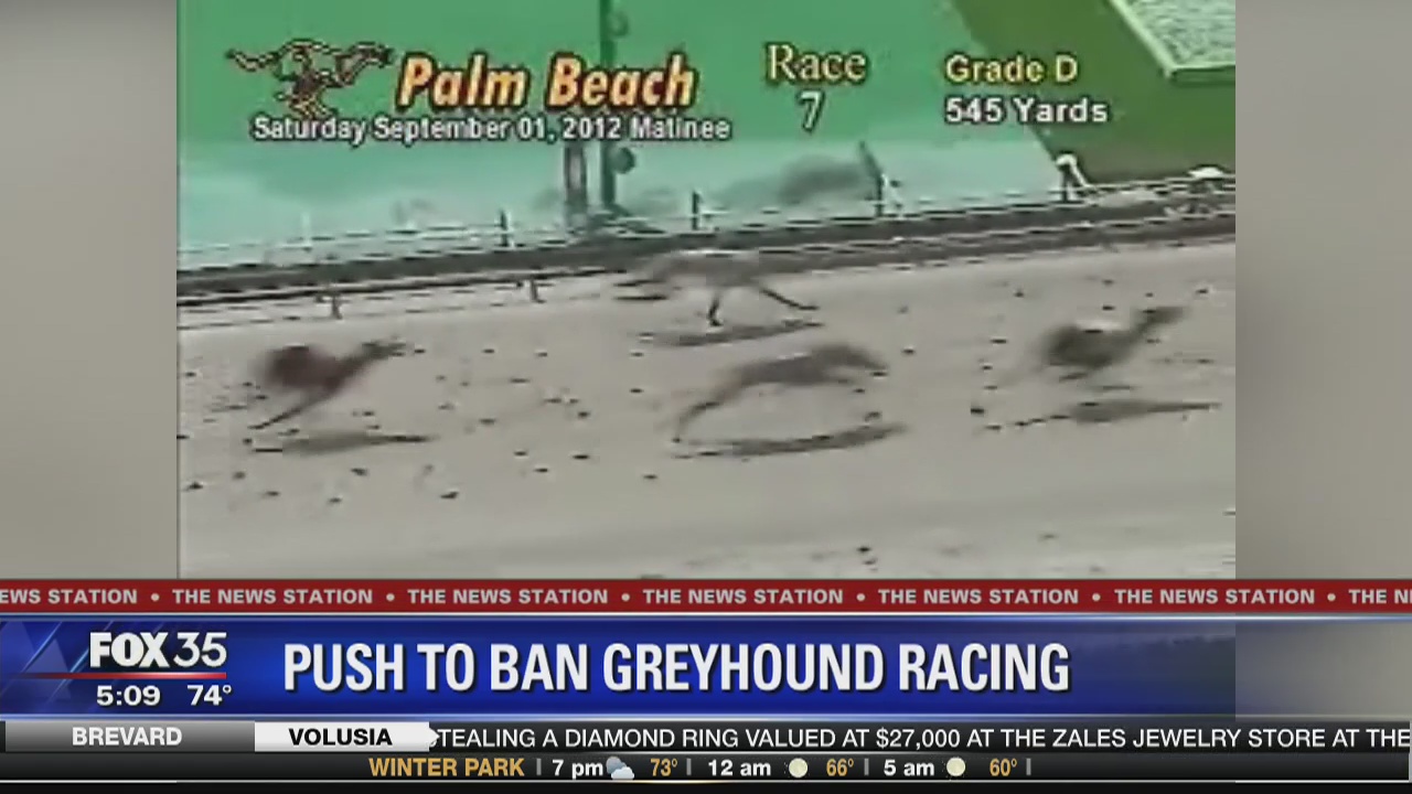 Push to ban greyhound racing in Florida